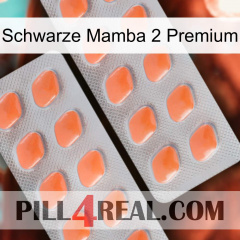 Black Mamba 2 Premium 27